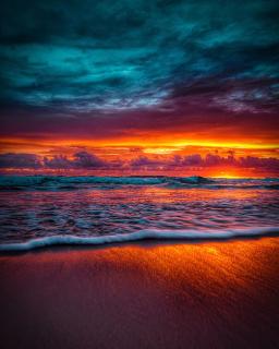 The Sun Will Rise Again