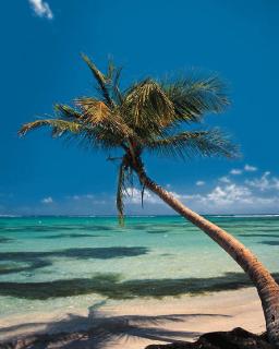 Another Day In Paradise