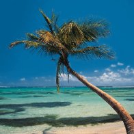Another Day In Paradise
