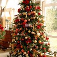 We're Gonna Need a Bigger Tree