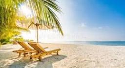 Life in the Sand 