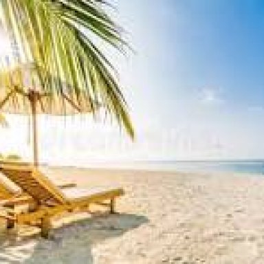 Life in the Sand 