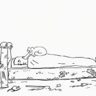 video image